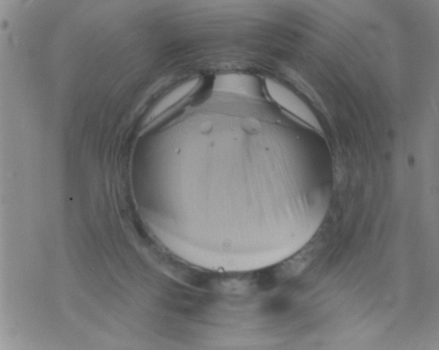 X0000075890163200610151800