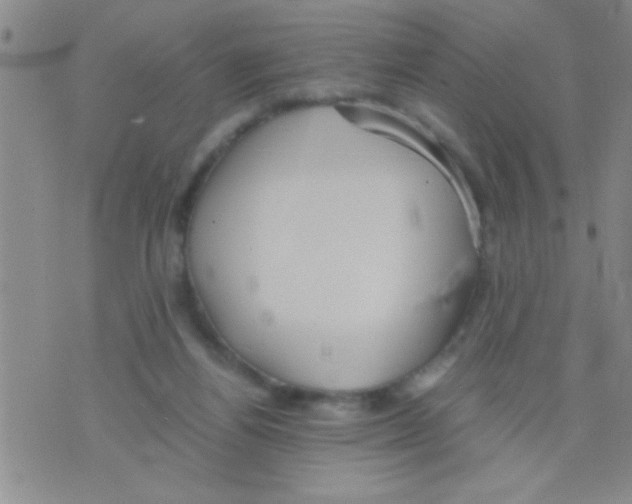 X0000075890164200610151800