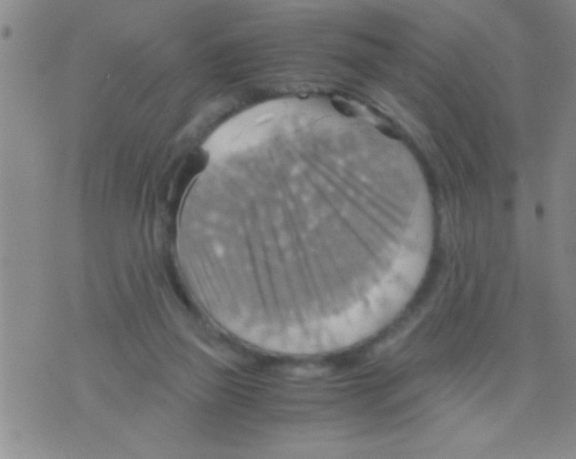 X0000075890165200610151800