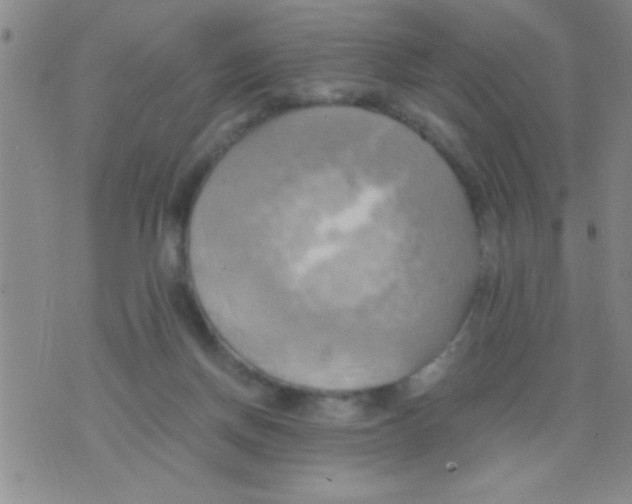 X0000075890166200610151800