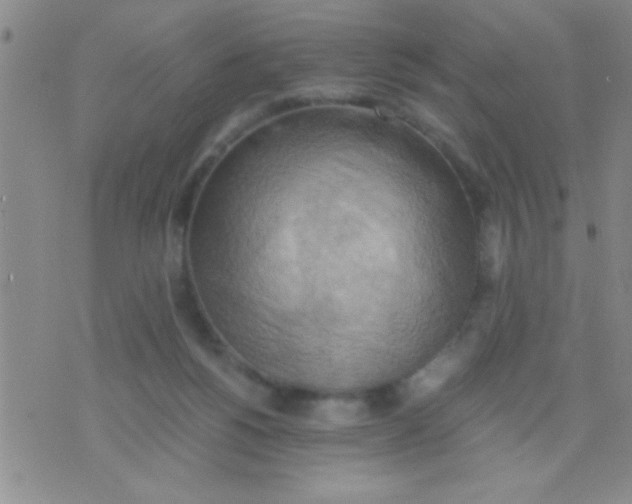 X0000075890168200610151800