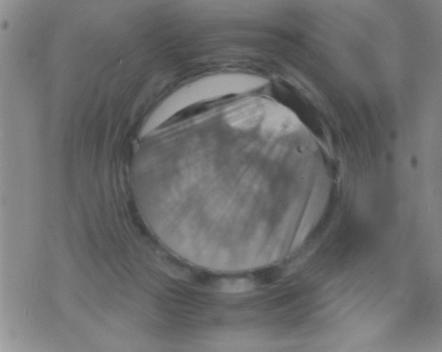 X0000075890169200610151800