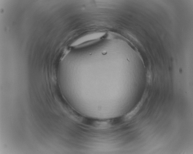 X0000075890170200610151800