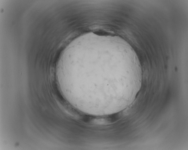 X0000075890171200610151800