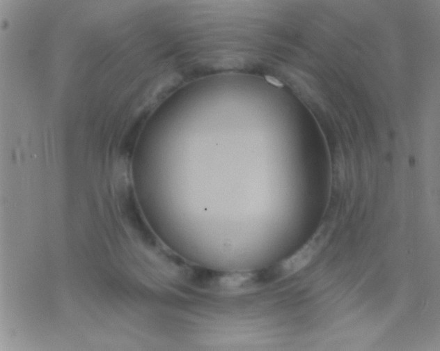 X0000075890172200610151800