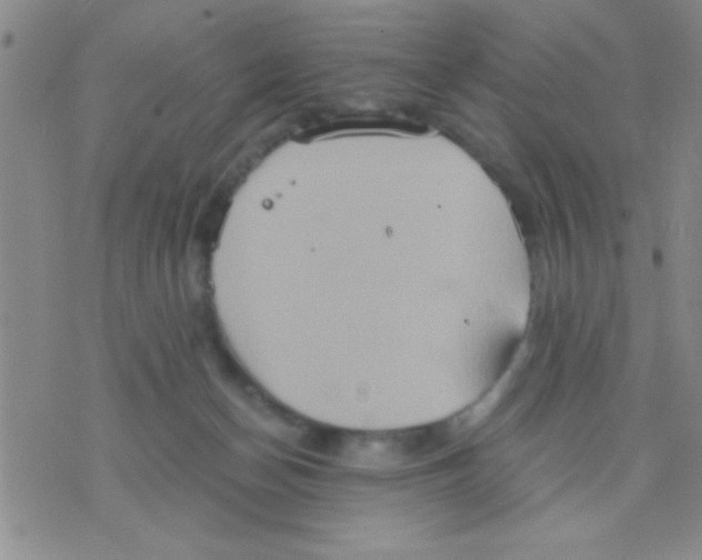 X0000075890174200610151800