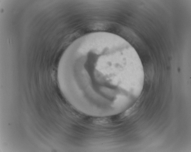 X0000075890175200610151800