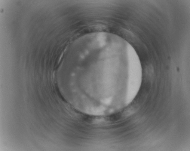 X0000075890177200610151800