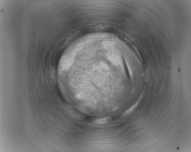 X0000075890178200610151800