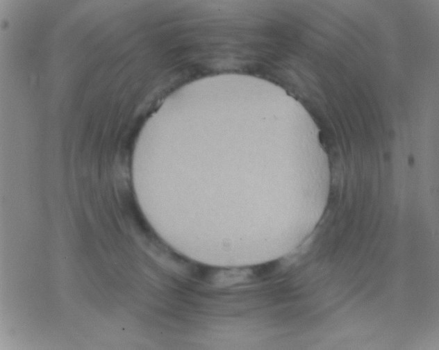 X0000075890179200610151800