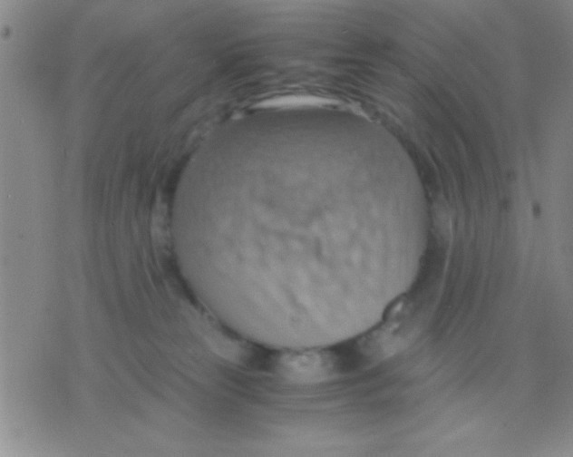 X0000075890181200610151800