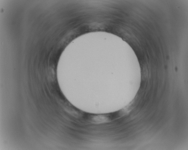 X0000075890183200610151800