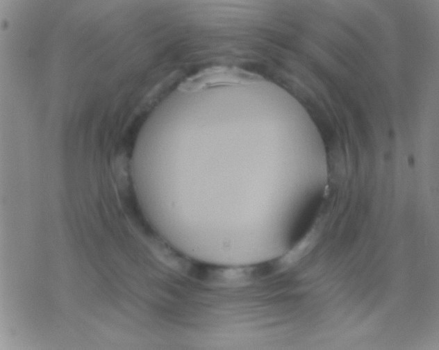 X0000075890184200610151800