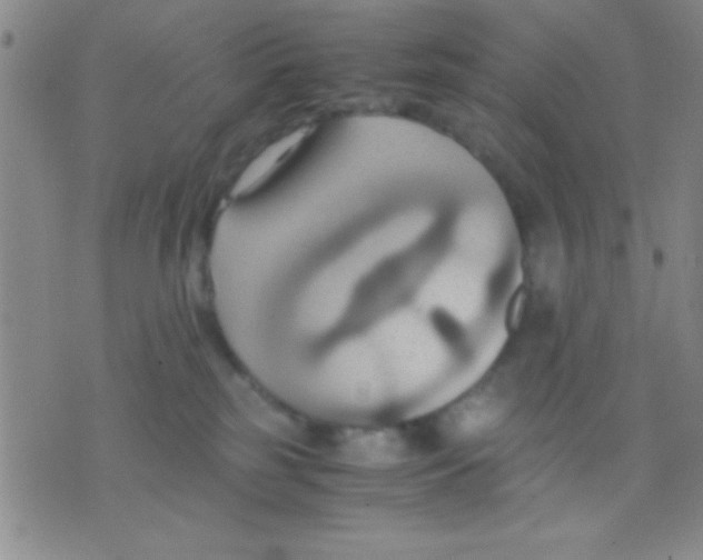 X0000075890185200610151800