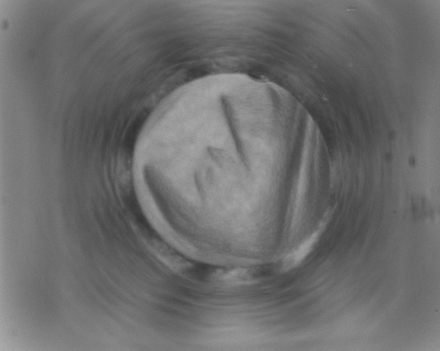 X0000075890186200610151800