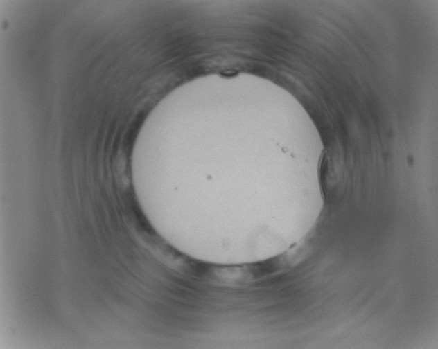 X0000075890187200610151800