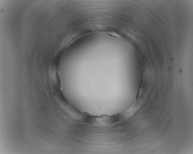 X0000075890188200610151800