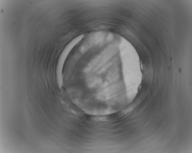 X0000075890189200610151800