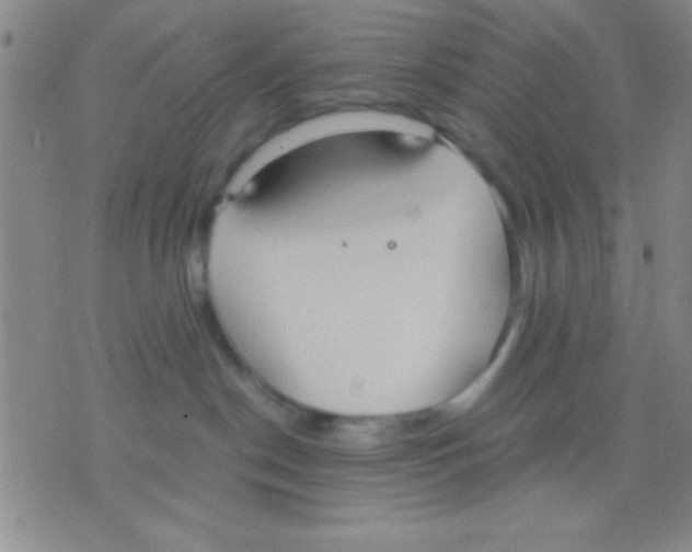 X0000075890190200610151800