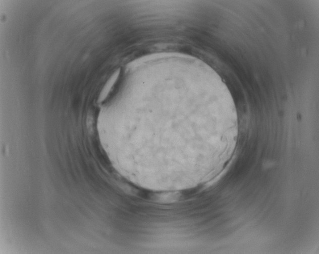 X0000075890191200610151800