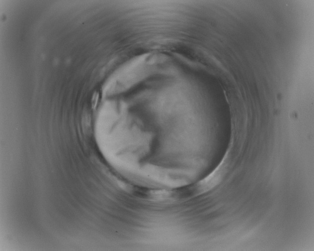 X0000075890192200610151800