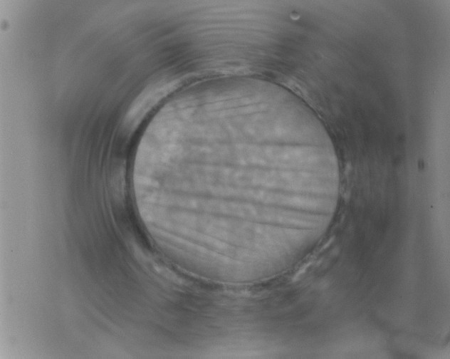 X0000075890194200610151800