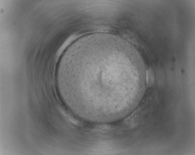 X0000075890195200610151800