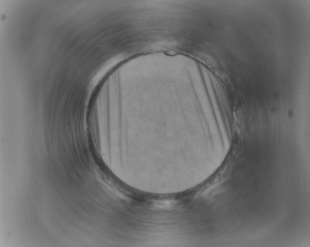 X0000075890196200610151759