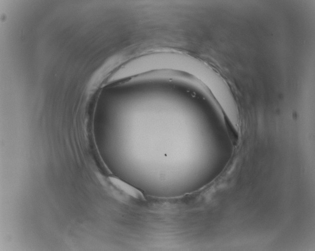 X0000075890197200610151759