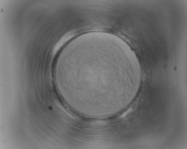 X0000075890198200610151759