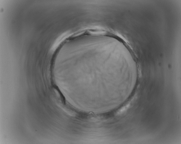 X0000075890199200610151759