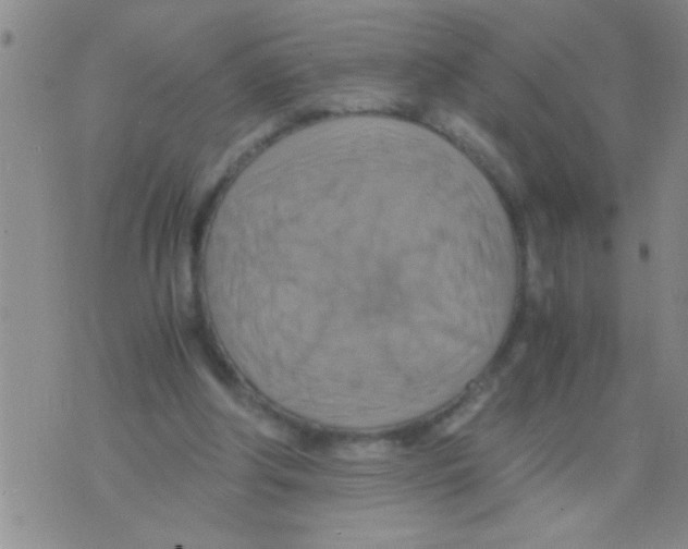 X0000075890202200610151759