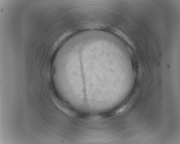 X0000075890203200610151759