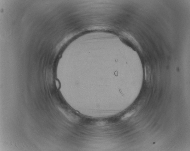 X0000075890204200610151759