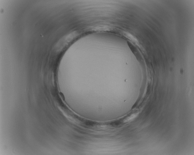 X0000075890205200610151759