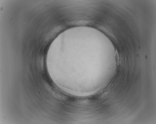 X0000075890206200610151759