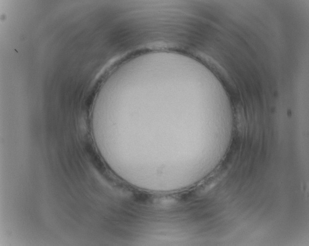 X0000075890208200610151759