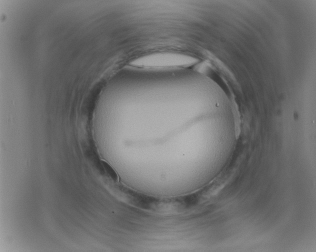 X0000075890209200610151759