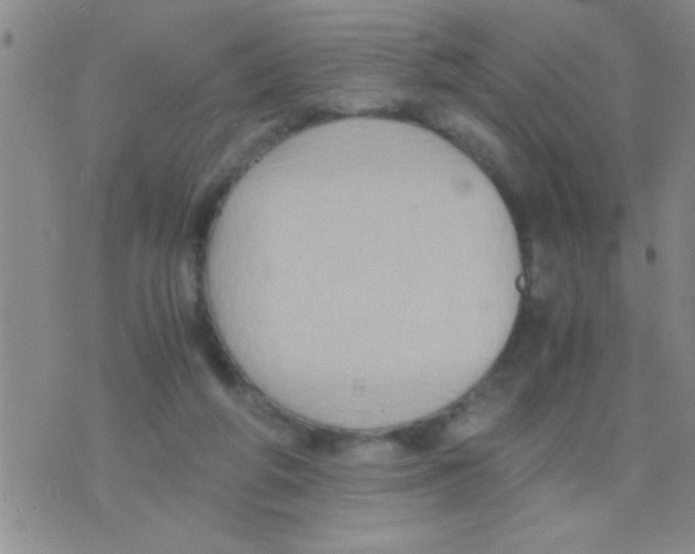 X0000075890210200610151759