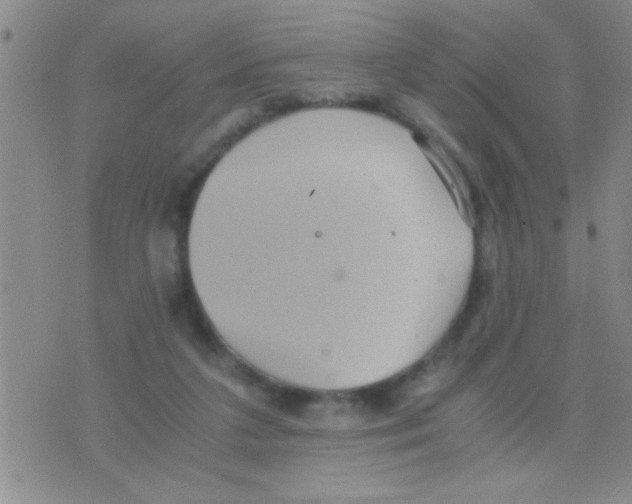 X0000075890211200610151759