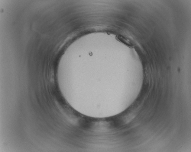 X0000075890212200610151759