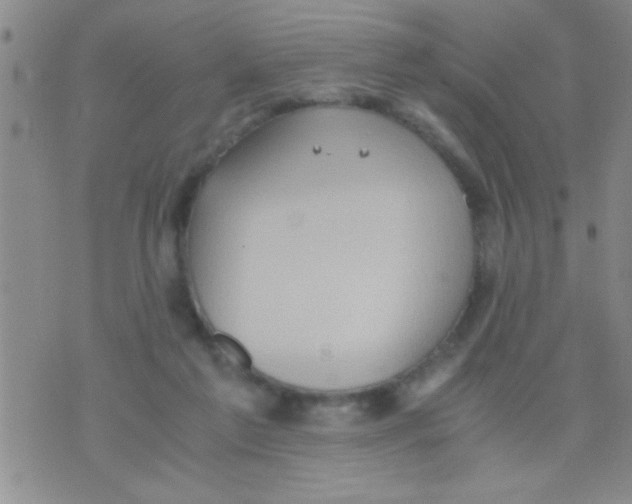 X0000075890213200610151759