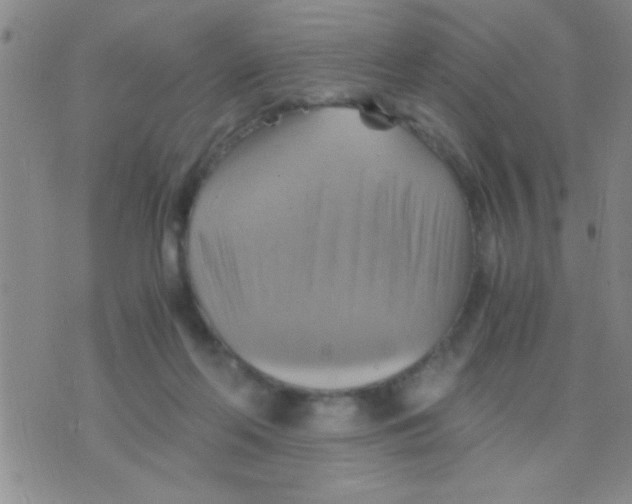 X0000075890214200610151759