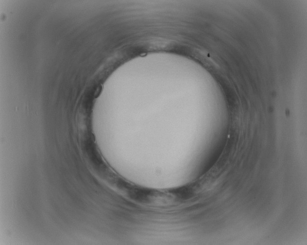 X0000075890215200610151759