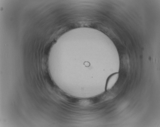 X0000075890218200610151759