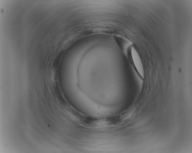 X0000075890219200610151759