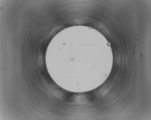 X0000075890220200610151759