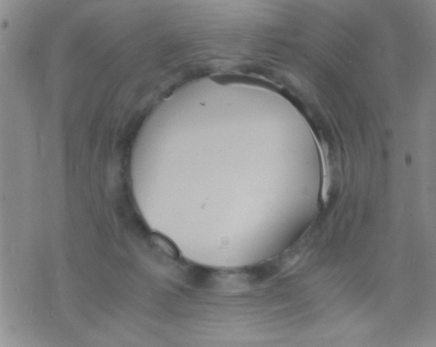 X0000075890221200610151759