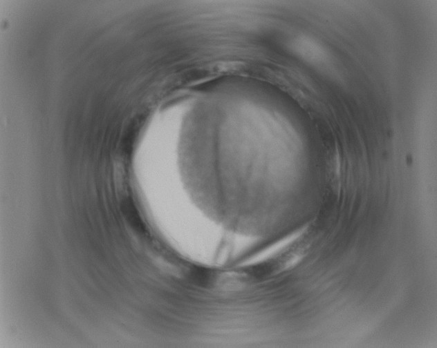 X0000075890222200610151759