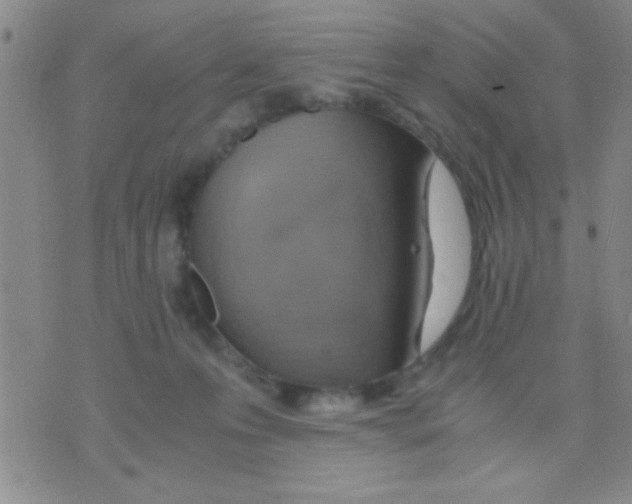 X0000075890223200610151759